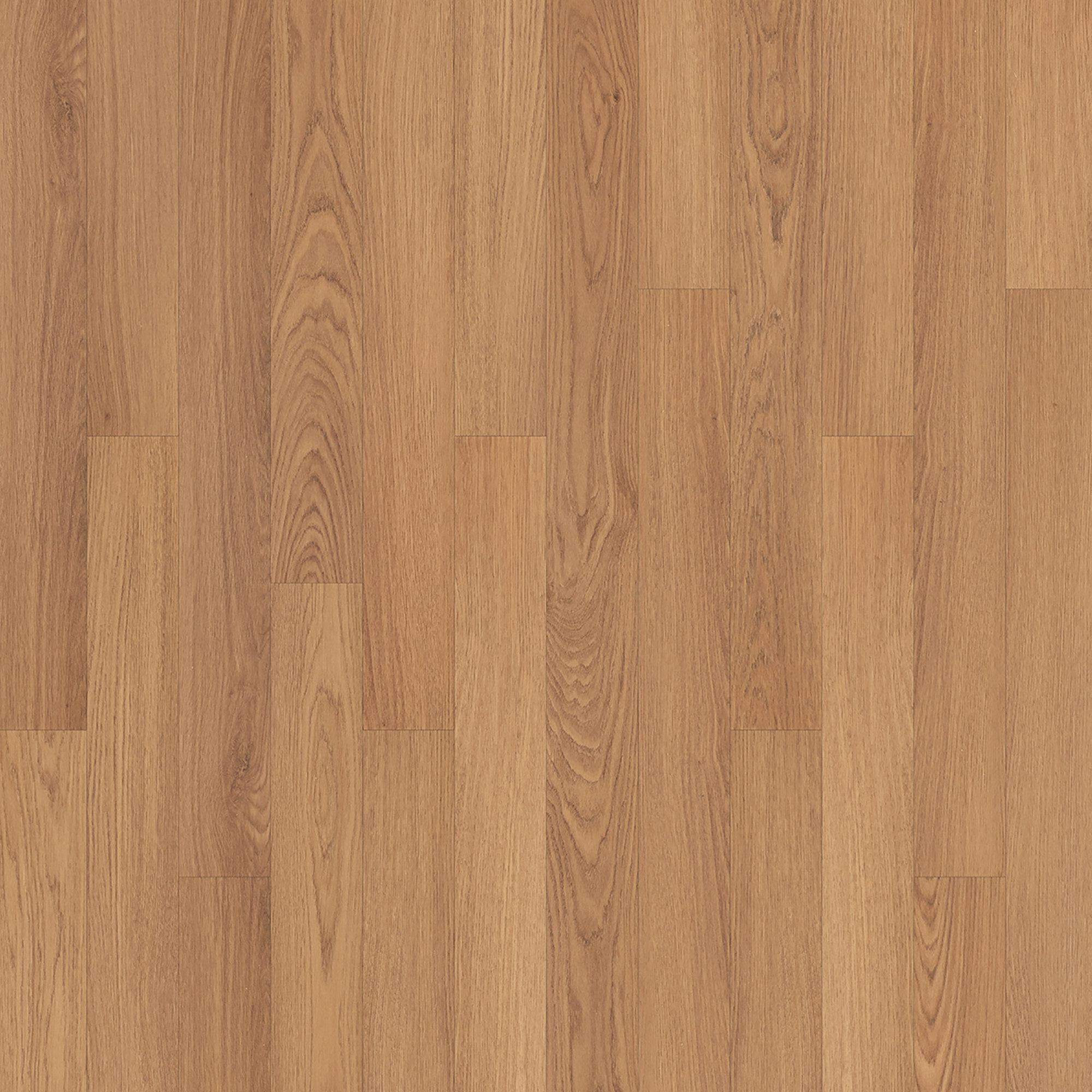Summerhill Chase 5" - Baylor (KHS19-411)